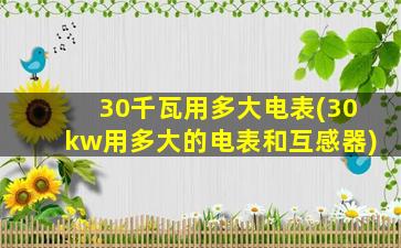 30千瓦用多大电表(30kw用多大的电表和互感器)