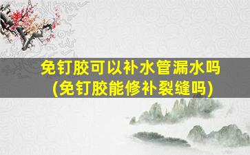 免钉胶可以补水管漏水吗(免钉胶能修补裂缝吗)