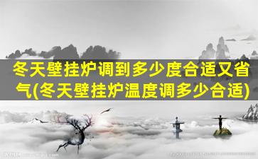 冬天壁挂炉调到多少度合适又省气(冬天壁挂炉温度调多少合适)