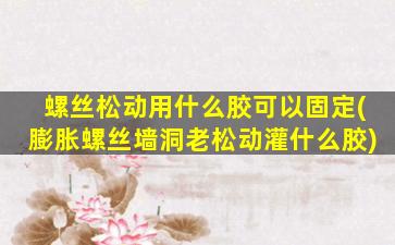 螺丝松动用什么胶可以固定(膨胀螺丝墙洞老松动灌什么胶)