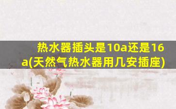 热水器插头是10a还是16a(天然气热水器用几安插座)