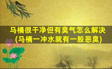 马桶很干净但有臭气怎么解决(马桶一冲水就有一股恶臭)