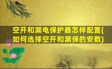 空开和漏电保护器怎样配置(如何选择空开和漏保的安数)