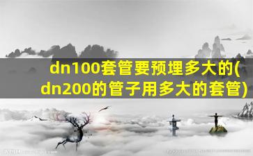 dn100套管要预埋多大的(dn200的管子用多大的套管)