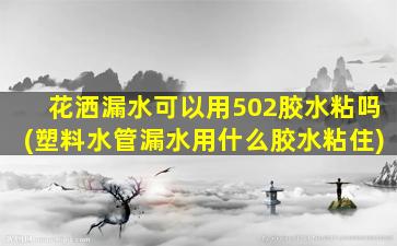 花洒漏水可以用502胶水粘吗(塑料水管漏水用什么胶水粘住)