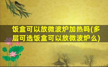 饭盒可以放微波炉加热吗(多层可选饭盒可以放微波炉么)