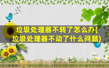 垃圾处理器不转了怎么办(垃圾处理器不动了什么问题)