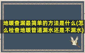 地暖查漏最简单的方法是什么(怎么检查地暖管道漏水还是不漏水)