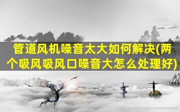 管道风机噪音太大如何解决(两个吸风吸风口噪音大怎么处理好)