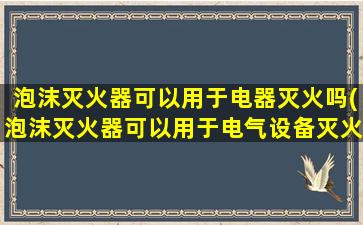 泡沫灭火器可以用于电器灭火吗(泡沫灭火器可以用于电气设备灭火)