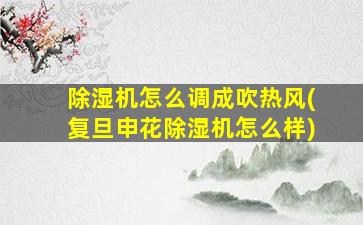 除湿机怎么调成吹热风(复旦申花除湿机怎么样)