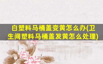 白塑料马桶盖变黄怎么办(卫生间塑料马桶盖发黄怎么处理)