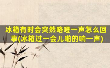 冰箱有时会突然咯噔一声怎么回事(冰箱过一会儿啪的响一声)