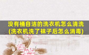 没有桶自洁的洗衣机怎么清洗(洗衣机洗了袜子后怎么消毒)