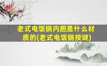 老式电饭锅内胆是什么材质的(老式电饭锅按键)