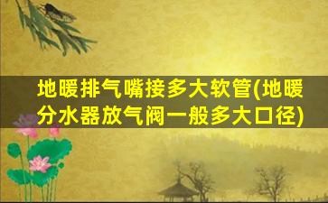 地暖排气嘴接多大软管(地暖分水器放气阀一般多大口径)