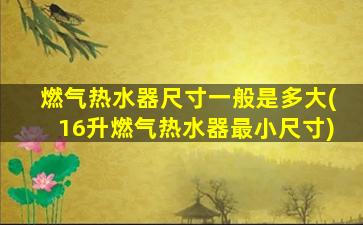 燃气热水器尺寸一般是多大(16升燃气热水器最小尺寸)