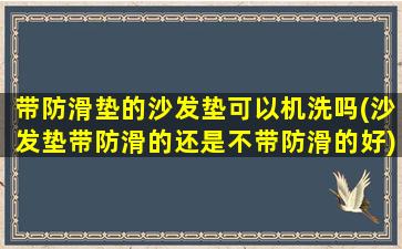 带防滑垫的沙发垫可以机洗吗(沙发垫带防滑的还是不带防滑的好)