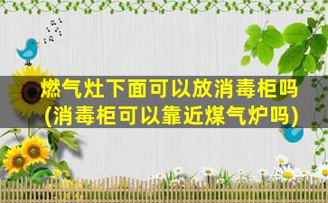 燃气灶下面可以放消毒柜吗(消毒柜可以靠近煤气炉吗)