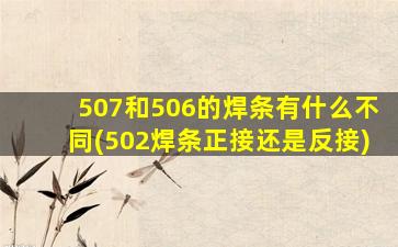 507和506的焊条有什么不同(502焊条正接还是反接)