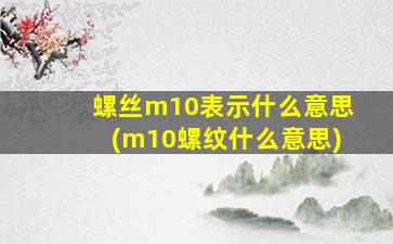 螺丝m10表示什么意思(m10螺纹什么意思)