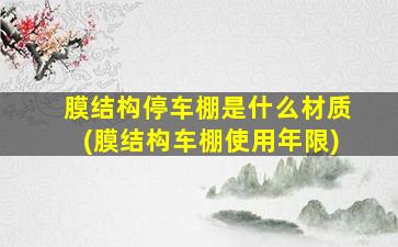 膜结构停车棚是什么材质(膜结构车棚使用年限)