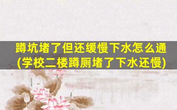 蹲坑堵了但还缓慢下水怎么通(学校二楼蹲厕堵了下水还慢)