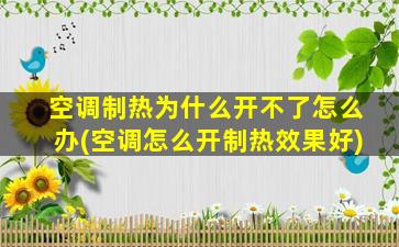 空调制热为什么开不了怎么办(空调怎么开制热效果好)