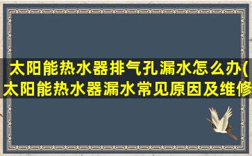 太阳能热水器排气孔漏水怎么办(太阳能热水器漏水常见原因及维修)