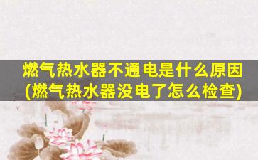 燃气热水器不通电是什么原因(燃气热水器没电了怎么检查)