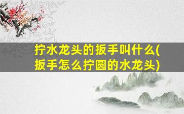 拧水龙头的扳手叫什么(扳手怎么拧圆的水龙头)