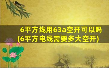 6平方线用63a空开可以吗(6平方电线需要多大空开)