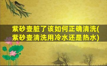紫砂壶脏了该如何正确清洗(紫砂壶清洗用冷水还是热水)