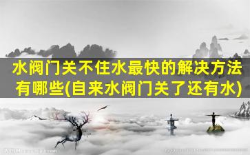 水阀门关不住水最快的解决方法有哪些(自来水阀门关了还有水)
