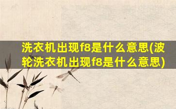 洗衣机出现f8是什么意思(波轮洗衣机出现f8是什么意思)