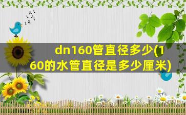 dn160管直径多少(160的水管直径是多少厘米)