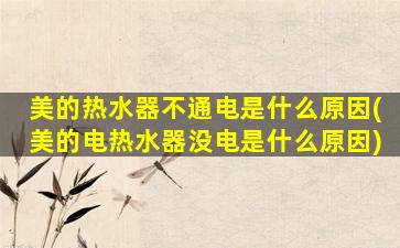 美的热水器不通电是什么原因(美的电热水器没电是什么原因)