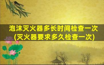 泡沫灭火器多长时间检查一次(灭火器要求多久检查一次)