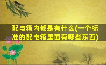 配电箱内都是有什么(一个标准的配电箱里面有哪些东西)