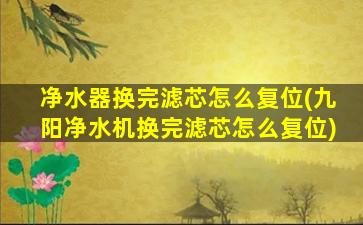 净水器换完滤芯怎么复位(九阳净水机换完滤芯怎么复位)