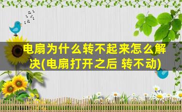 电扇为什么转不起来怎么解决(电扇打开之后 转不动)