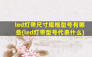 led灯带尺寸规格型号有哪些(led灯带型号代表什么)