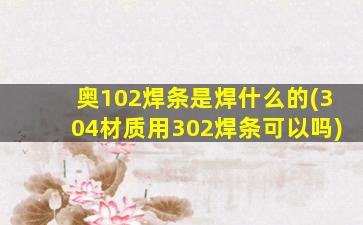 奥102焊条是焊什么的(304材质用302焊条可以吗)
