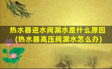 热水器进水阀漏水是什么原因(热水器高压阀漏水怎么办)