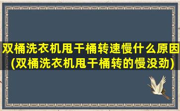 双桶洗衣机甩干桶转速慢什么原因(双桶洗衣机甩干桶转的慢没劲)