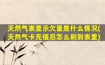 天然气表显示欠量是什么情况(天然气卡充值后怎么刷到表里)