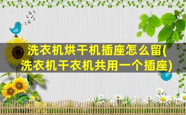 洗衣机烘干机插座怎么留(洗衣机干衣机共用一个插座)