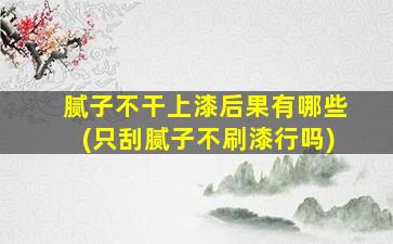 腻子不干上漆后果有哪些(只刮腻子不刷漆行吗)