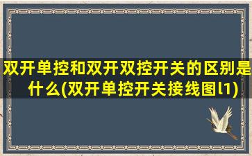 双开单控和双开双控开关的区别是什么(双开单控开关接线图l1)