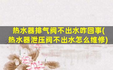热水器排气阀不出水咋回事(热水器泄压阀不出水怎么维修)